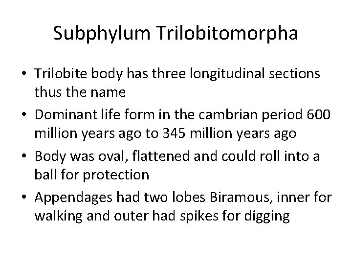 Subphylum Trilobitomorpha • Trilobite body has three longitudinal sections thus the name • Dominant