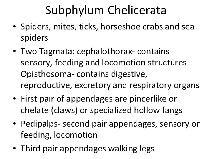 Subphylum Chelicerata • Spiders, mites, ticks, horseshoe crabs and sea spiders • Two Tagmata: