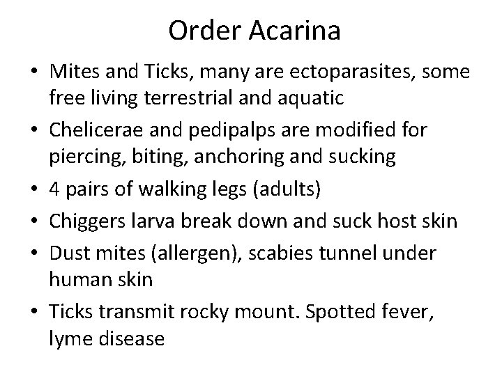 Order Acarina • Mites and Ticks, many are ectoparasites, some free living terrestrial and