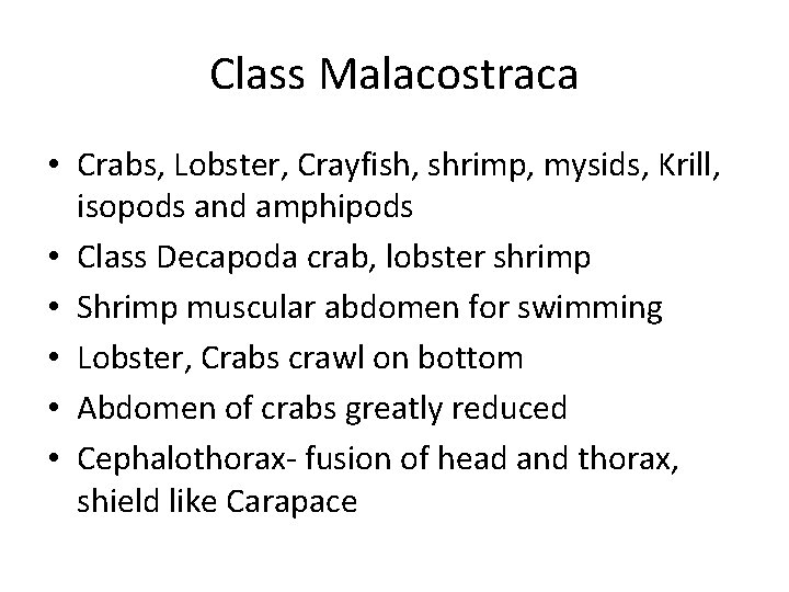 Class Malacostraca • Crabs, Lobster, Crayfish, shrimp, mysids, Krill, isopods and amphipods • Class