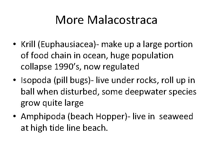 More Malacostraca • Krill (Euphausiacea)- make up a large portion of food chain in