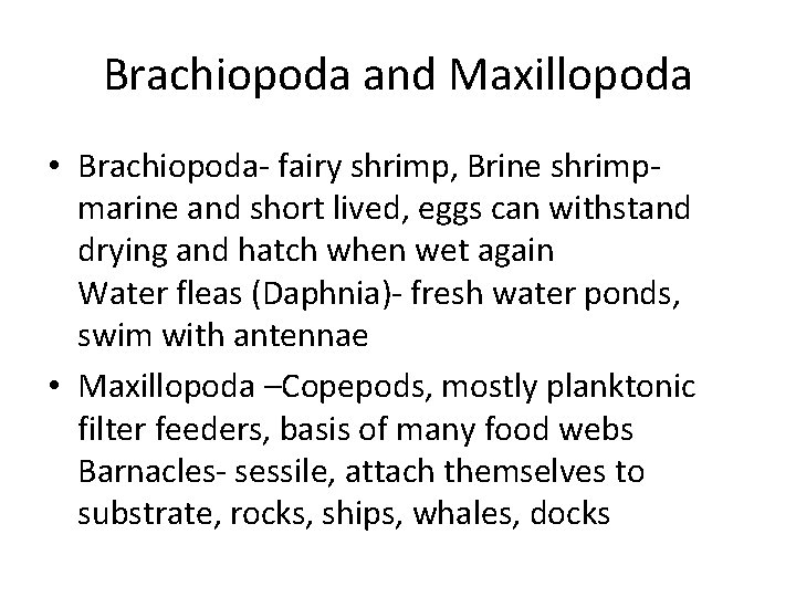 Brachiopoda and Maxillopoda • Brachiopoda- fairy shrimp, Brine shrimpmarine and short lived, eggs can