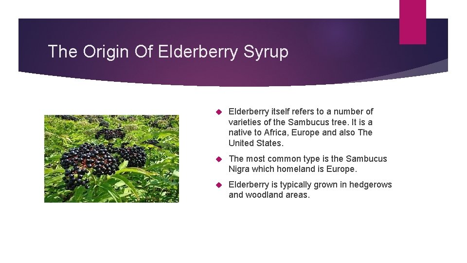 The Origin Of Elderberry Syrup Elderberry itself refers to a number of varieties of
