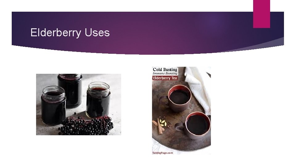 Elderberry Uses 