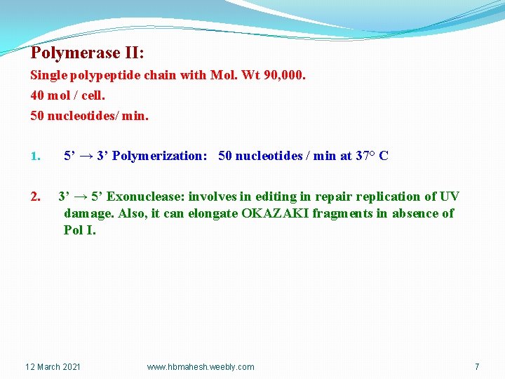 Polymerase II: Single polypeptide chain with Mol. Wt 90, 000. 40 mol / cell.