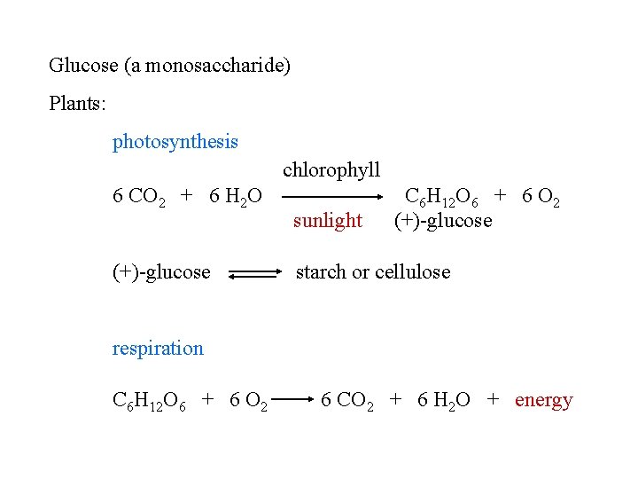 Glucose (a monosaccharide) Plants: photosynthesis chlorophyll 6 CO 2 + 6 H 2 O