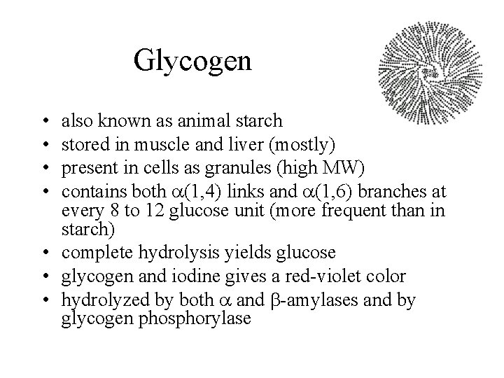 Glycogen • • also known as animal starch stored in muscle and liver (mostly)