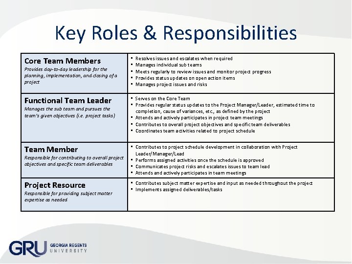 Key Roles & Responsibilities Core Team Members • • • Functional Team Leader •