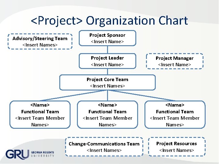 <Project> Organization Chart Advisory/Steering Team <Insert Names> Project Sponsor <Insert Name> Project Leader <Insert