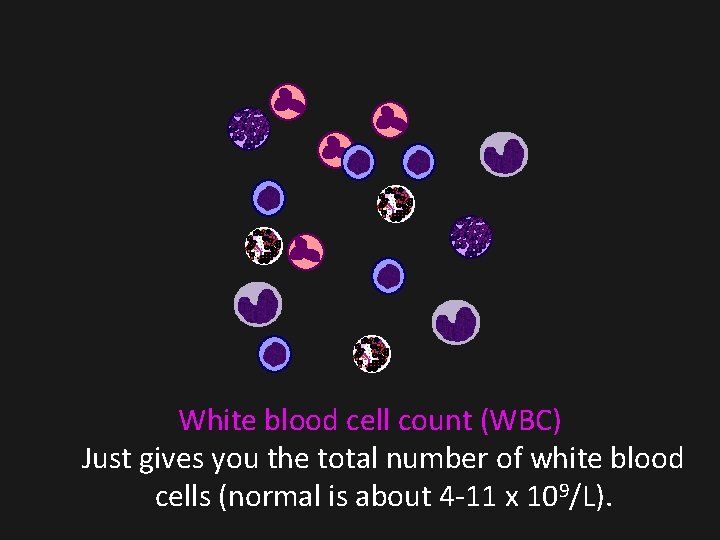 White blood cell count (WBC) Just gives you the total number of white blood