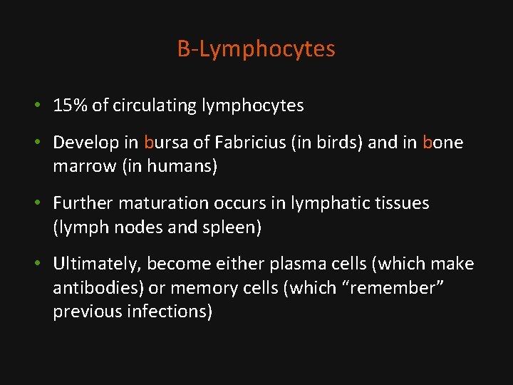 B-Lymphocytes • 15% of circulating lymphocytes • Develop in bursa of Fabricius (in birds)