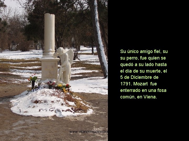 Su único amigo fiel, su su perro, fue quien se quedó a su lado