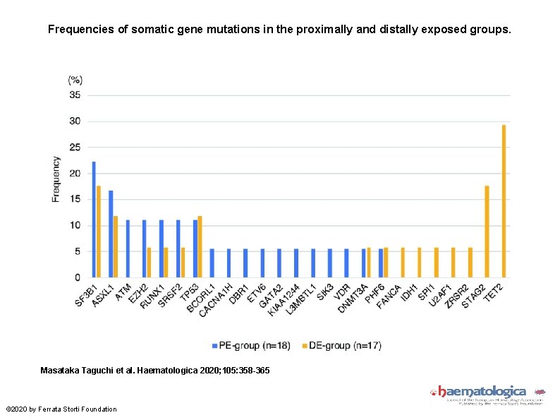 Frequencies of somatic gene mutations in the proximally and distally exposed groups. Masataka Taguchi