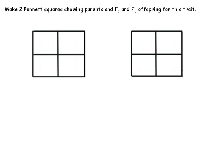 Make 2 Punnett squares showing parents and F 1 and F 2 offspring for