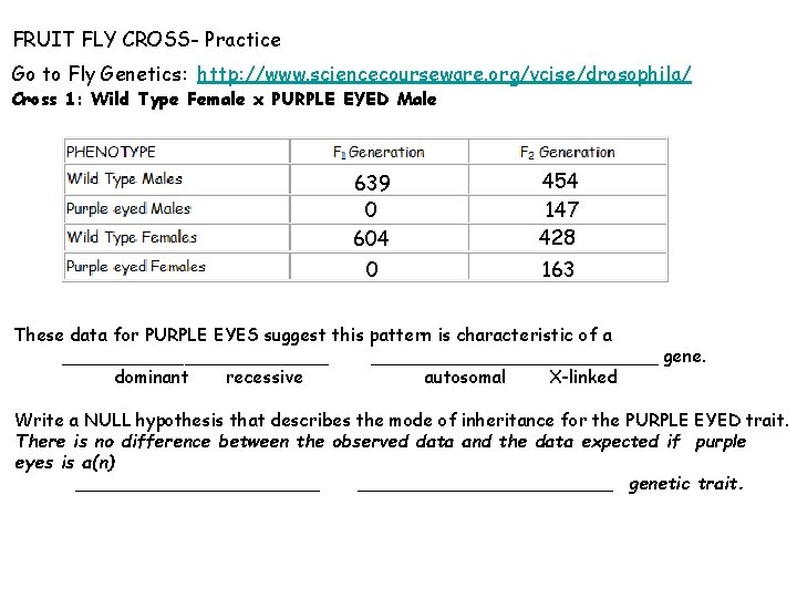 FRUIT FLY CROSS- Practice Go to Fly Genetics: http: //www. sciencecourseware. org/vcise/drosophila/ Cross 1: