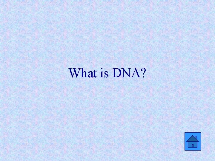 What is DNA? 