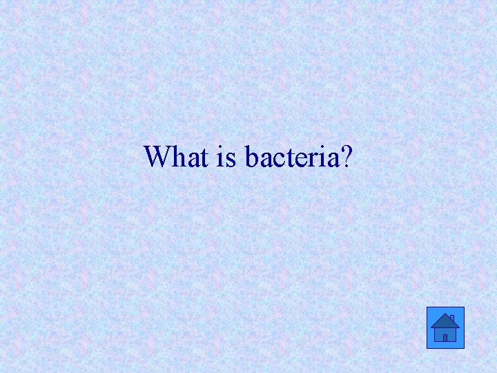 What is bacteria? 