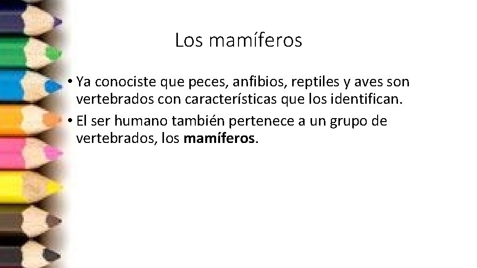 Los mamíferos • Ya conociste que peces, anfibios, reptiles y aves son vertebrados con