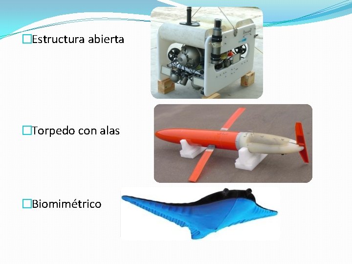 �Estructura abierta �Torpedo con alas �Biomimétrico 