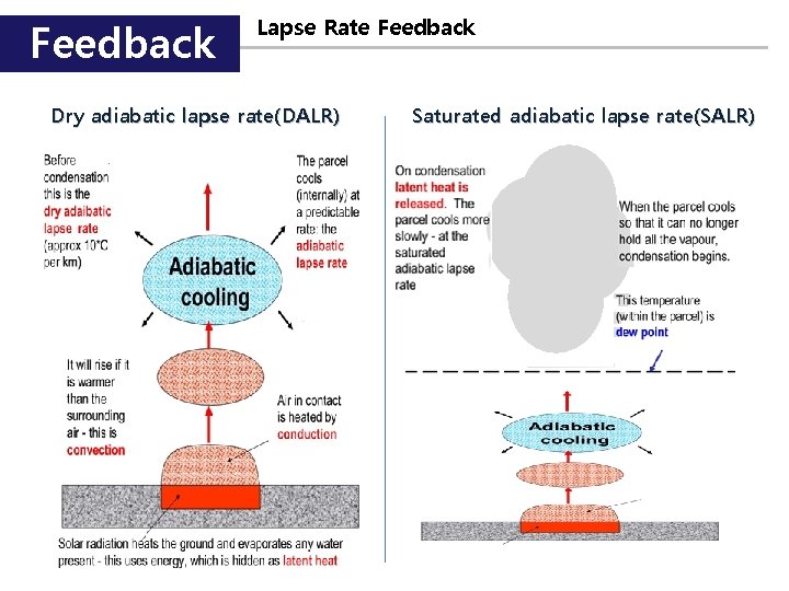 Feedback Lapse Rate Feedback Dry adiabatic lapse rate(DALR) Saturated adiabatic lapse rate(SALR) 