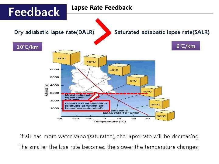 Feedback Lapse Rate Feedback Dry adiabatic lapse rate(DALR) 10℃/km Saturated adiabatic lapse rate(SALR) 6℃/km