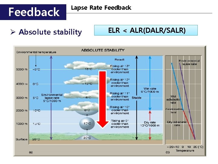 Feedback Lapse Rate Feedback Ø Absolute stability ELR < ALR(DALR/SALR) 