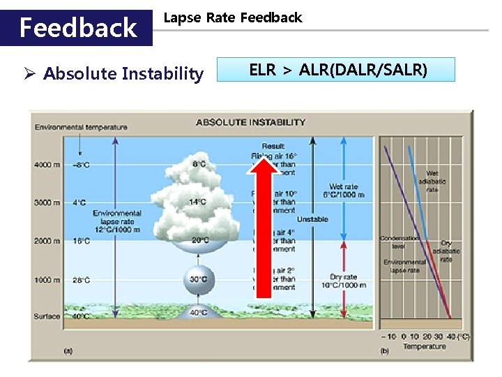 Feedback Lapse Rate Feedback Ø Absolute Instability ELR > ALR(DALR/SALR) 