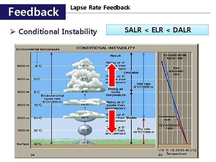 Feedback Lapse Rate Feedback Ø Conditional Instability SALR < ELR < DALR 