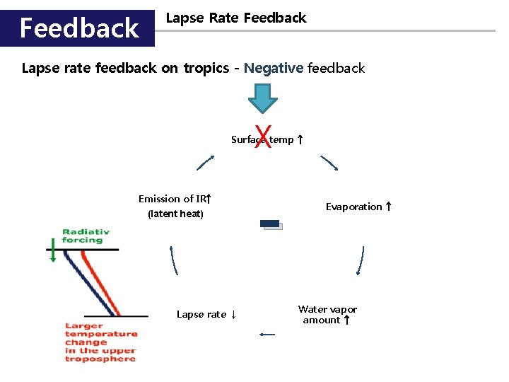 Feedback Lapse Rate Feedback Lapse rate feedback on tropics - Negative feedback X Surface