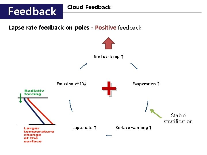 Feedback Cloud Feedback Lapse rate feedback on poles - Positive feedback Surface temp ↑