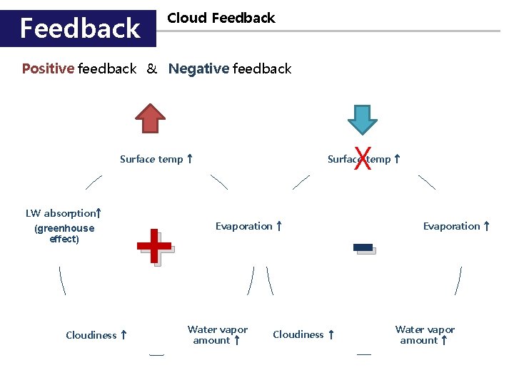 Feedback Cloud Feedback Positive feedback & Negative feedback X Surface temp ↑ LW absorption↑