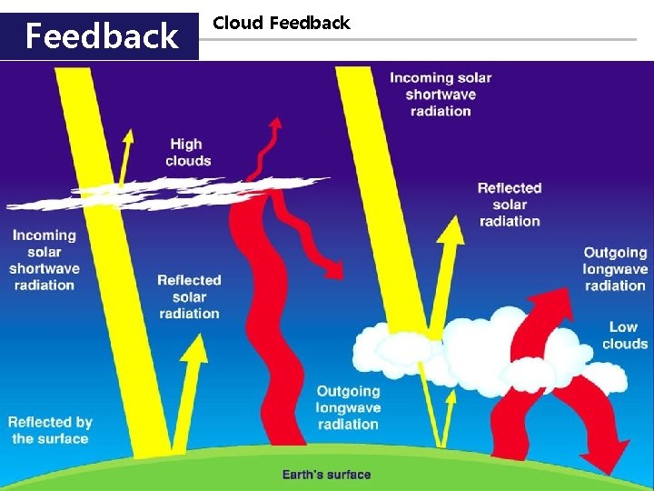 Feedback Cloud Feedback 