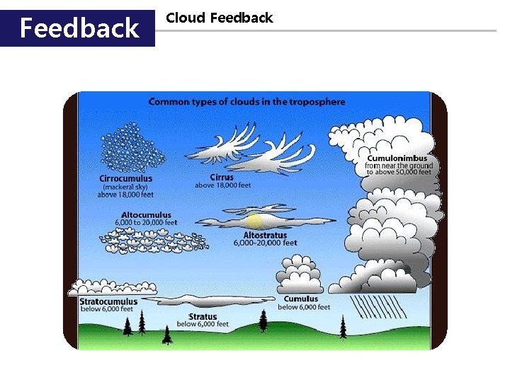 Feedback Cloud Feedback 