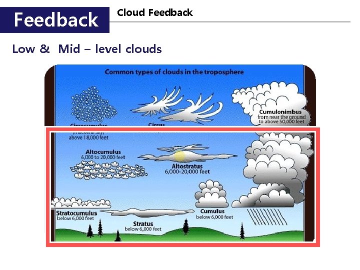 Feedback Cloud Feedback Low & Mid – level clouds 