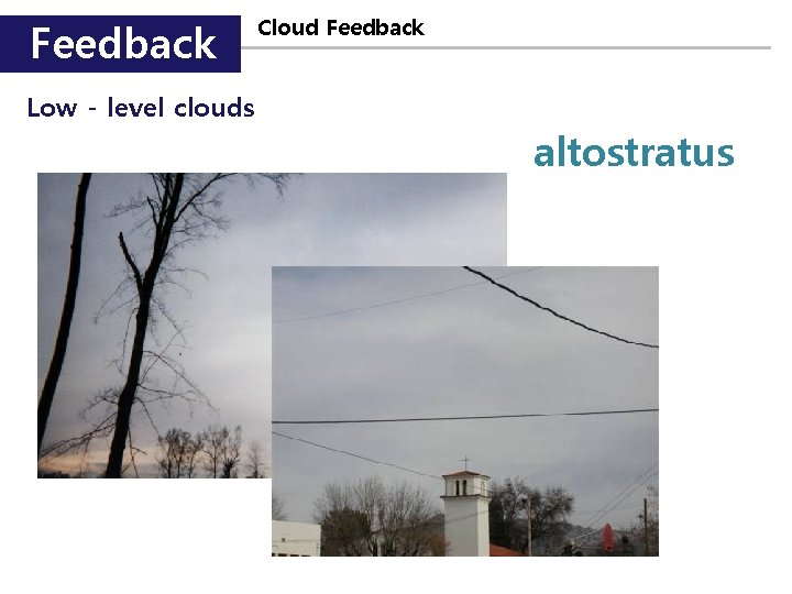 Feedback Cloud Feedback Low - level clouds altostratus 