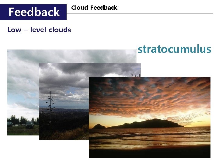 Feedback Cloud Feedback Low – level clouds stratocumulus 