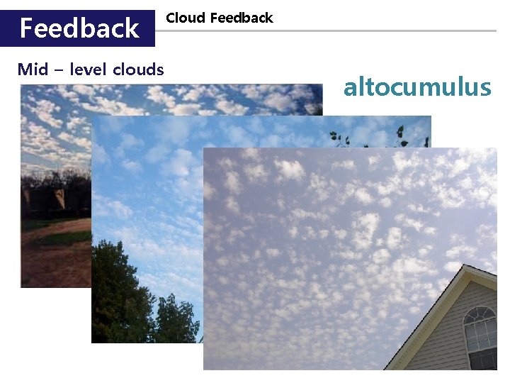 Feedback Mid – level clouds Cloud Feedback altocumulus 
