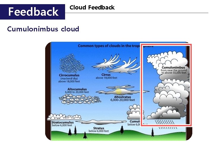 Feedback Cloud Feedback Cumulonimbus cloud 