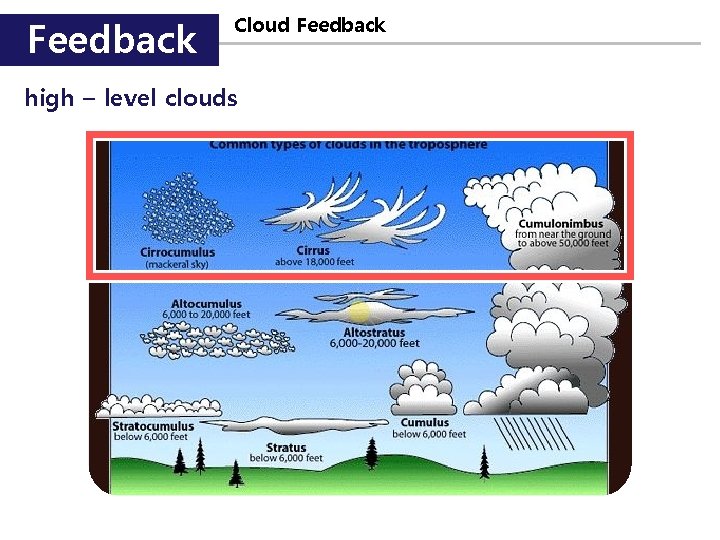 Feedback Cloud Feedback high – level clouds 