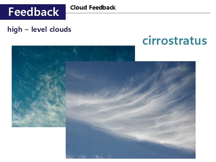 Feedback Cloud Feedback high – level clouds cirrostratus 