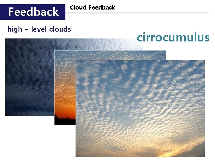 Feedback Cloud Feedback high – level clouds cirrocumulus 