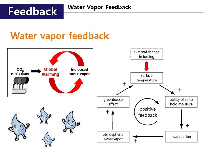 Feedback Water Vapor Feedback Water vapor feedback 