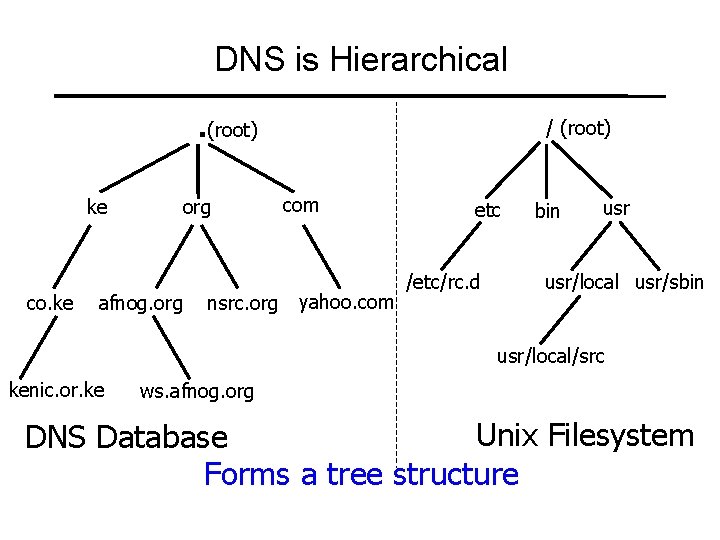 DNS is Hierarchical. (root) ke co. ke org afnog. org / (root) com nsrc.