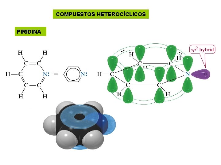 COMPUESTOS HETEROCÍCLICOS PIRIDINA 