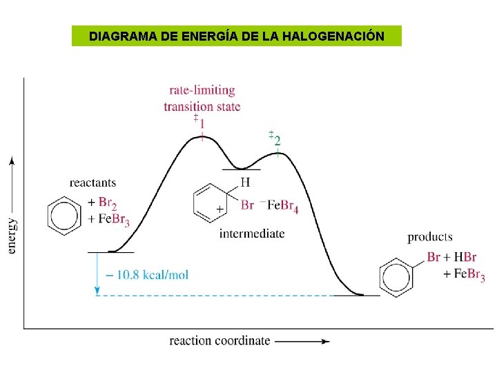 DIAGRAMA DE ENERGÍA DE LA HALOGENACIÓN 