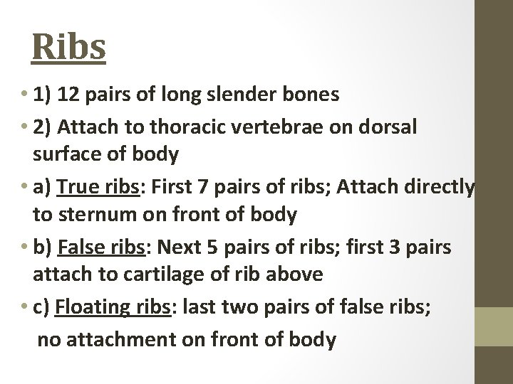 Ribs • 1) 12 pairs of long slender bones • 2) Attach to thoracic