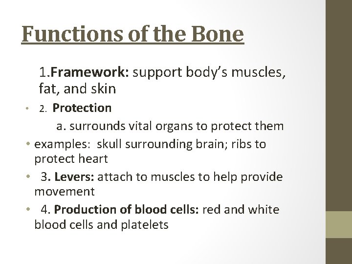 Functions of the Bone 1. Framework: support body’s muscles, fat, and skin • 2.