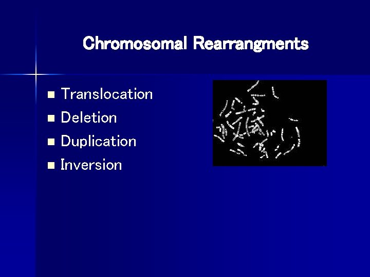 Chromosomal Rearrangments Translocation n Deletion n Duplication n Inversion n 