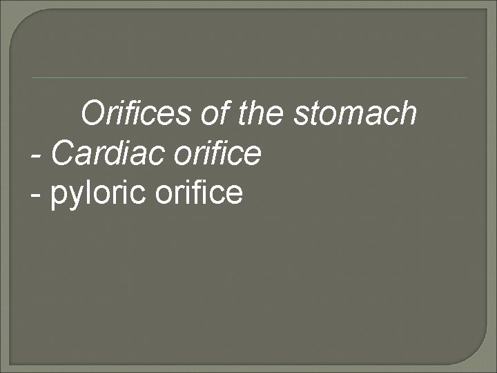 Orifices of the stomach - Cardiac orifice - pyloric orifice 