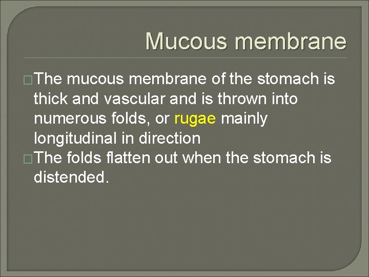 Mucous membrane �The mucous membrane of the stomach is thick and vascular and is